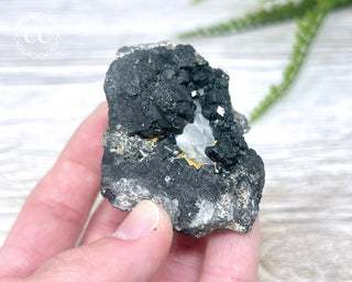 Melanite Garnet Specimen #2