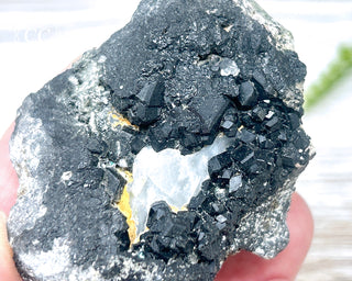 Melanite Garnet Specimen #2