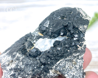 Melanite Garnet Specimen #2