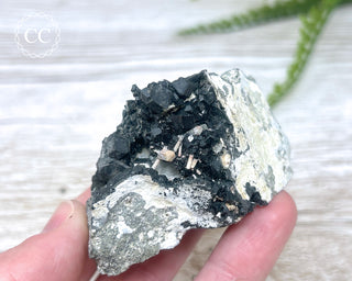 Melanite Garnet Specimen #1