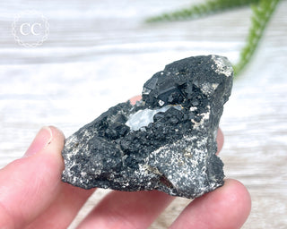 Melanite Garnet Specimen #2