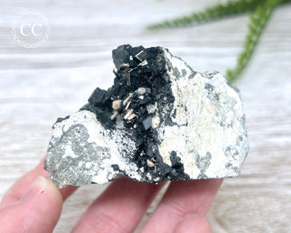 Melanite Garnet Specimen #1