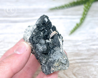 Melanite Garnet Specimen #1
