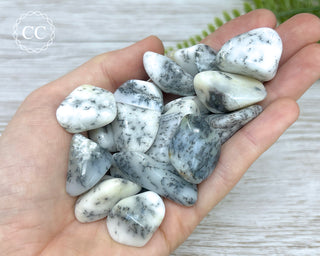 Dendritic Opal | Merlinite Tumbled Crystals in hand