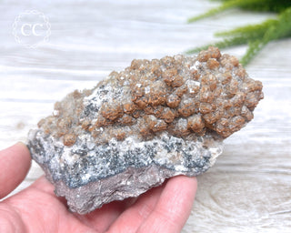 Mexican Calcite Specimen #1