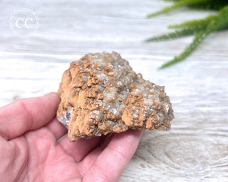 Mexican Calcite Specimen #2
