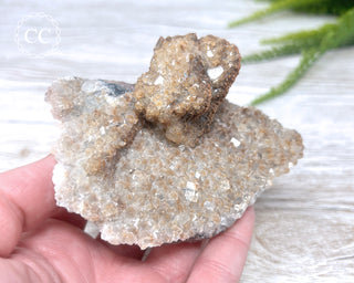 Mexican Calcite Specimen #3