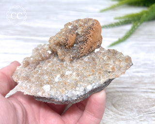 Mexican Calcite Specimen #3