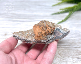 Mexican Calcite Specimen #3