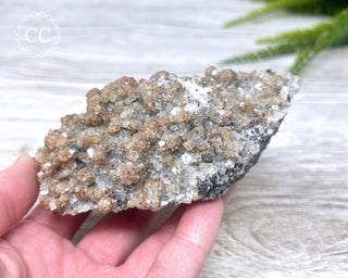 Mexican Calcite Specimen #1