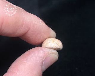 Mexican Cantera Opal Cabochon #4