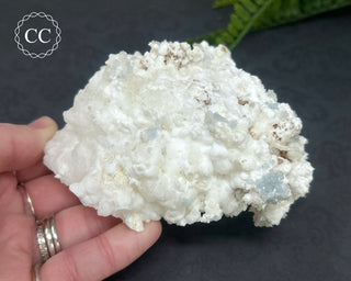 Mexican Celestite & Aragonite/Calcite Specimen #1