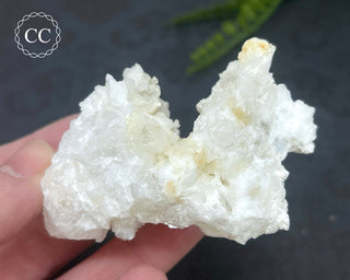 Mexican Celestite & Aragonite/Calcite Specimen #5