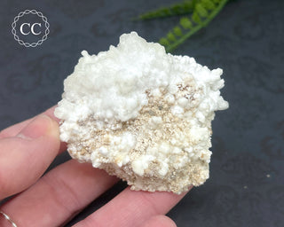 Mexican Celestite & Aragonite/Calcite Specimen #7