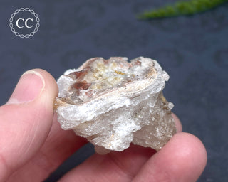 Selenite Cluster - Mexico #2