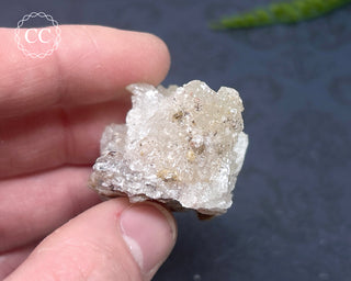 Selenite Cluster - Mexico #2