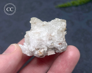 Selenite Cluster - Mexico #2