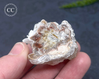 Selenite Cluster - Mexico #2