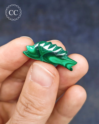 Malachite Fish - Mini