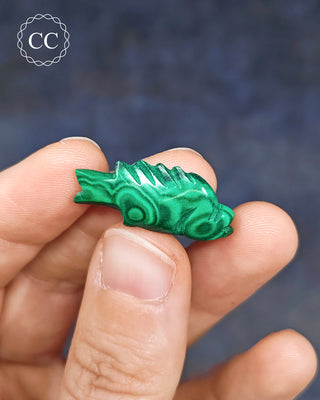 Malachite Fish - Mini