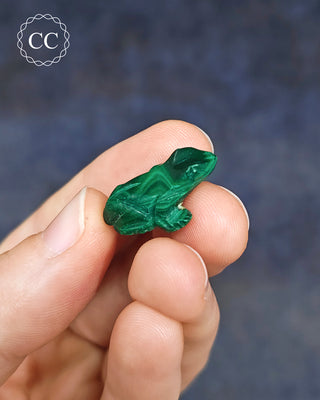 Malachite Frog - Mini