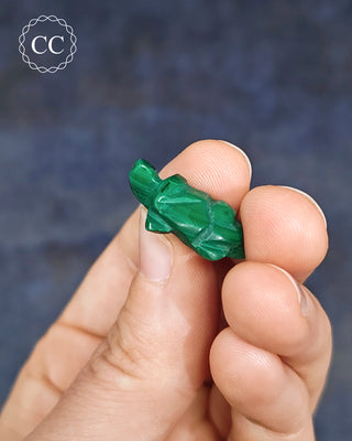 Malachite Turtle - Mini