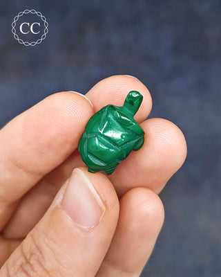 Malachite Turtle - Mini