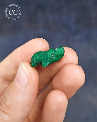 Malachite Turtle - Mini