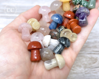 Mini Mushroom Crystal Carving