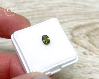 Moldavite Faceted Gem #2