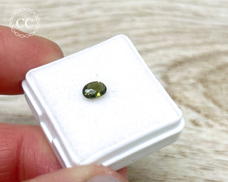 Moldavite Faceted Gem #2