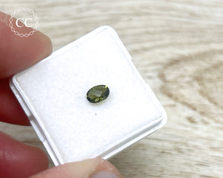 Moldavite Faceted Gem #2
