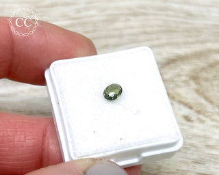 Moldavite Faceted Gem #3