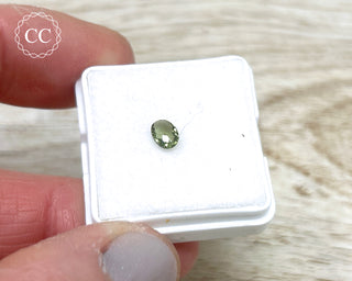 Moldavite Faceted Gem #3
