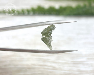 Moldavite #16
