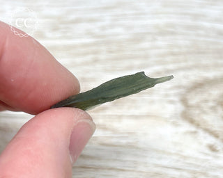 Moldavite #15