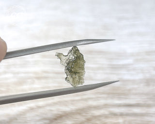 Moldavite #19
