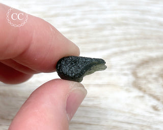 Moldavite #16