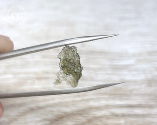 Moldavite #19