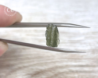 Moldavite #21