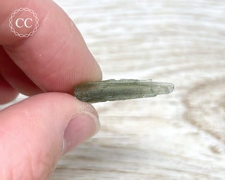 Moldavite #19
