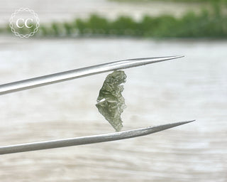 Moldavite #16