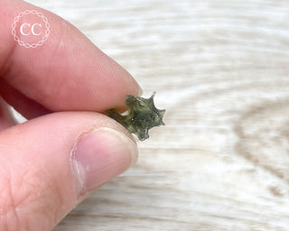 Moldavite #30