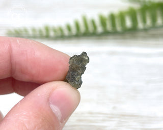 Moldavite #10