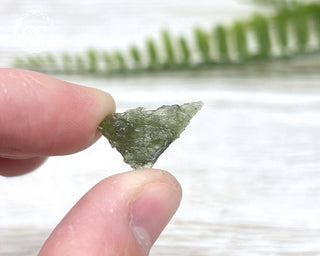 Moldavite #15
