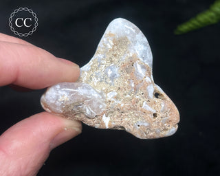 Morado Purple Opal Polished #3