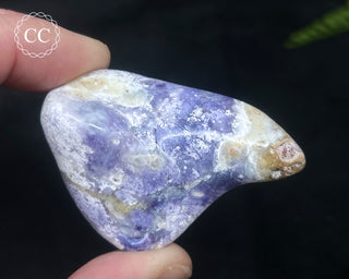 Morado Purple Opal Polished #4