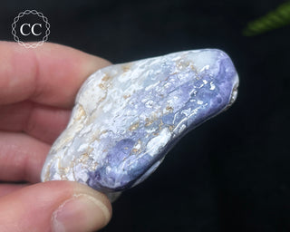 Morado Purple Opal Polished #5
