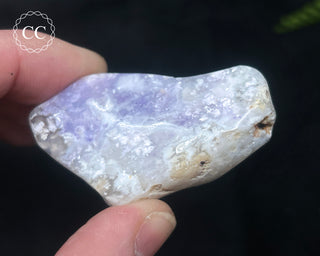 Morado Purple Opal Polished #8