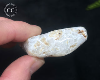 Morado Purple Opal Polished #8